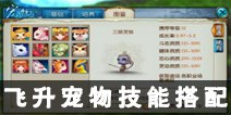 诛仙手游飞升宠物技能搭配攻略 飞升宠物技能怎么搭配