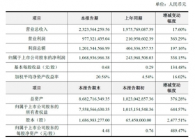 巨人壳公司世纪游轮16年总收入23.2亿元，净利10.7亿元