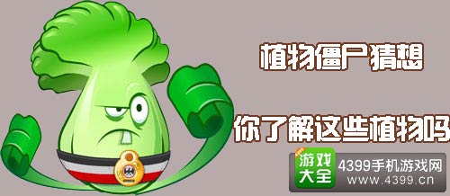 植物大战僵尸2