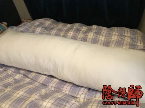 阴阳师八百比丘尼抱枕