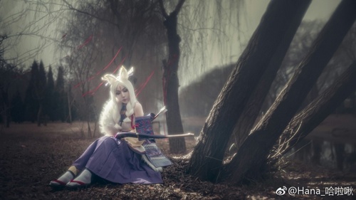 阴阳师白狼