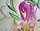 造梦西游4花语仙蝶