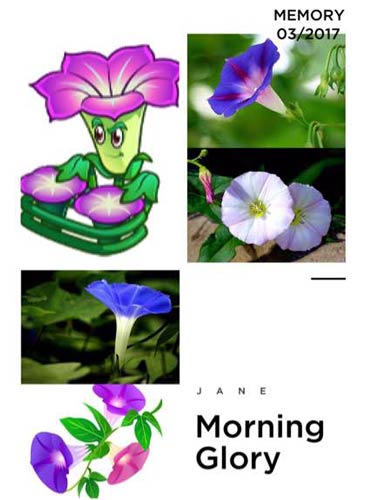 植物大战僵尸2