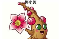 植物大战僵尸2
