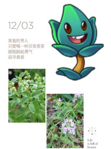 植物大战僵尸2