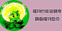 《植物大战僵尸2》植物也能做萌宠 萌蠢植物盘点