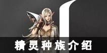 天堂2誓言精灵种族介绍 精灵职业选哪个好