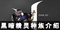 天堂2誓言黑暗精灵种族介绍 黑暗精灵职业选哪个好
