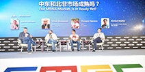 GMGC北京2017|圆桌论坛：中东和北非市场成熟吗？