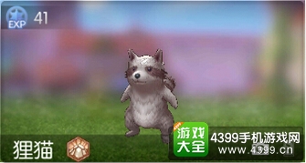 仙境传说ro守护永恒的爱狸猫 狸猫属性能力掉落图鉴