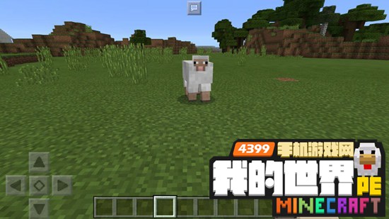 我的世界羊怎么驯服 手机版羊在哪里羊怎么抓
