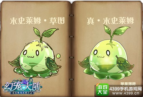 幻宠大陆