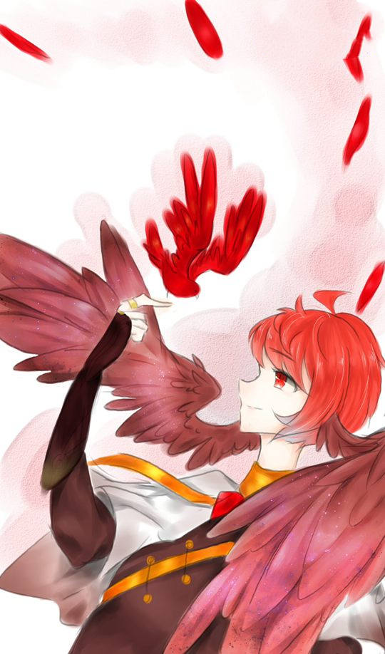 炎燃雀羽-4399冽玺
