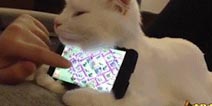 恶搞手动滑稽 部落冲突搞笑图片