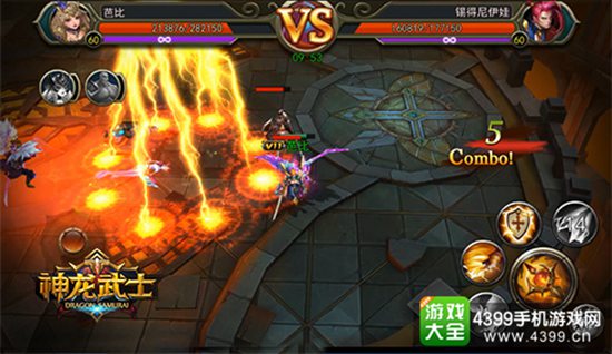 神龙武士