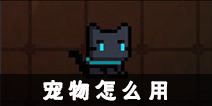 元气骑士宠物怎么用 宠物使用方法