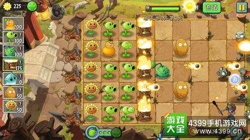 植物大战僵尸2