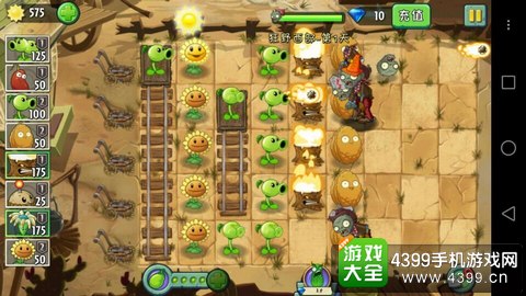 植物大战僵尸2狂野西部第一天攻略