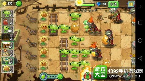 植物大战僵尸2狂野西部第二天攻略