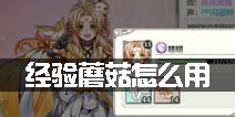 王与异界骑士经验蘑菇怎么用 经验蘑菇使用解析