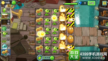 植物大战僵尸2海盗港湾第二十四天攻略