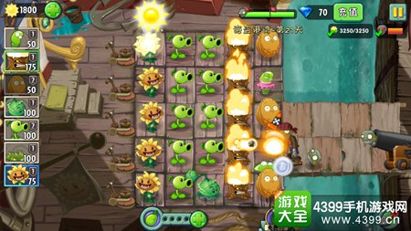 植物大战僵尸2海盗港湾第二十一天攻略