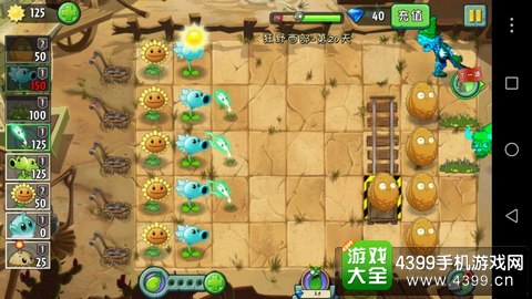 植物大战僵尸2