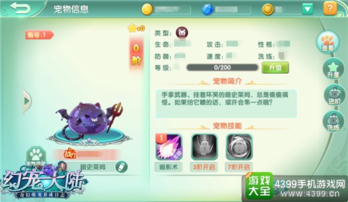 幻宠大陆