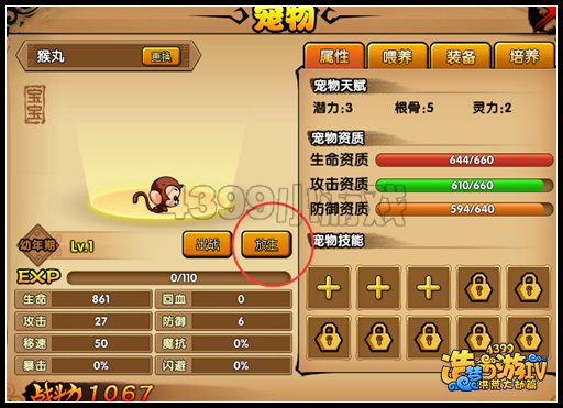 洪荒大劫篇宠物怎么放生