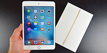 销量才是硬道理 iPad mini或将被苹果抛弃