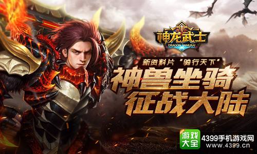 神龙武士