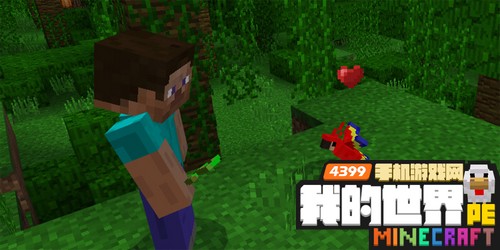 我的世界鹦鹉addons下载