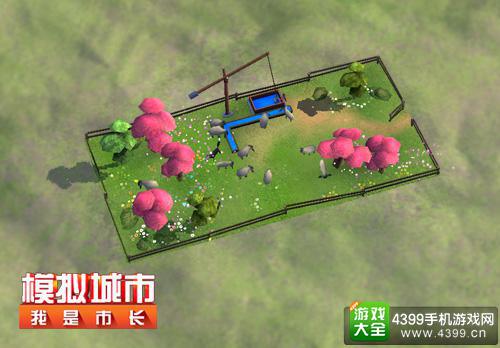 绵羊牧场