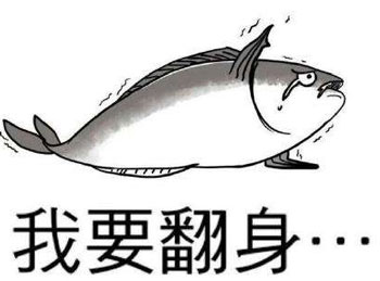 赛尔号火电之王 双属性精灵王再临