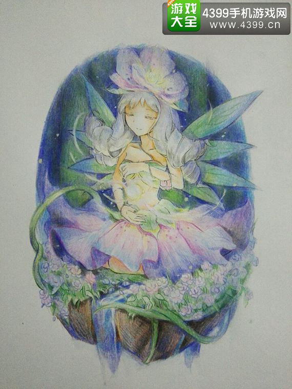 手绘夜芙蓉
