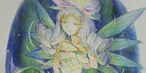 手绘夜芙蓉 静谧之美