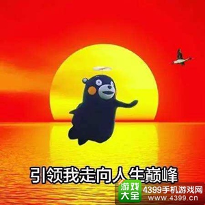 数码超进化