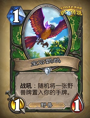 宝石鹦鹉