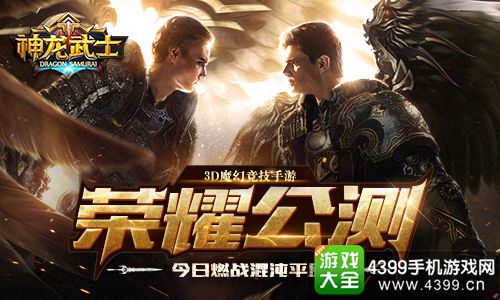 神龙武士