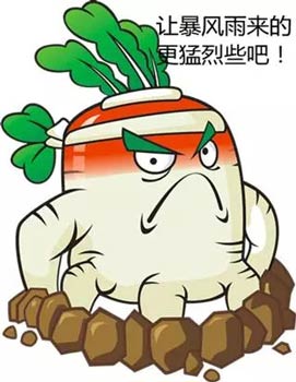 植物大战僵尸2
