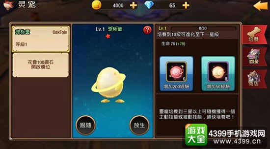 灵宠之一——灵蛋