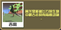 疯狂动物园翼龙怎么抓