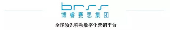 博睿赛思
