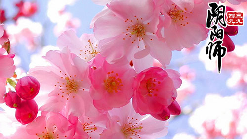 阴阳师式神信物