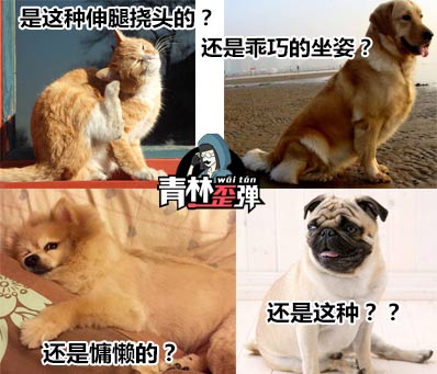 生死狙击青林歪弹(tán)第十一期