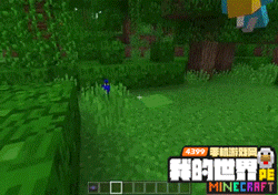 我的世界1.2确定加入鹦鹉 手机版1.2爆料第13弹