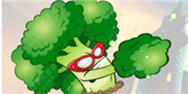 <font color='#FF0000'>《植物大战僵尸2高清版》植物联盟礼包免费领取大力花菜</font>