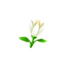 明灵花