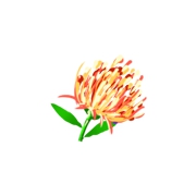 上古天帝篇去灵花