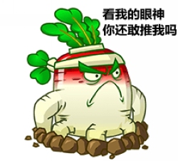 植物大战僵尸2